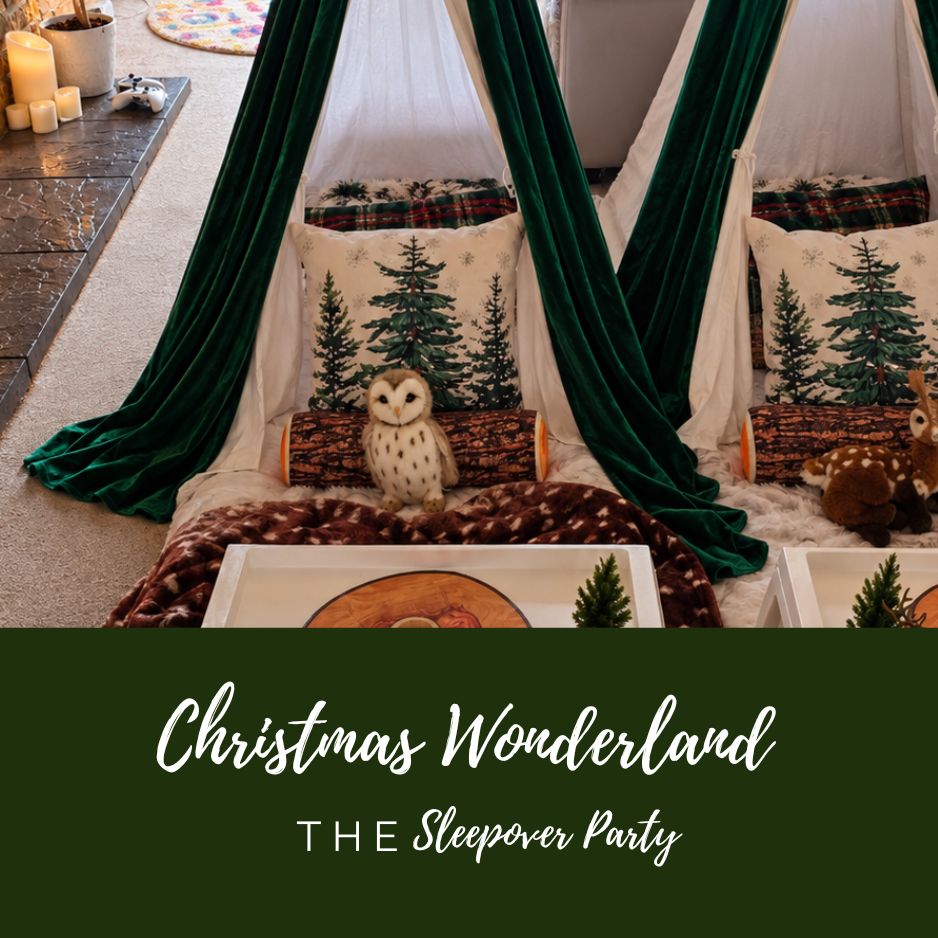 sleepover winter christmas Lapland