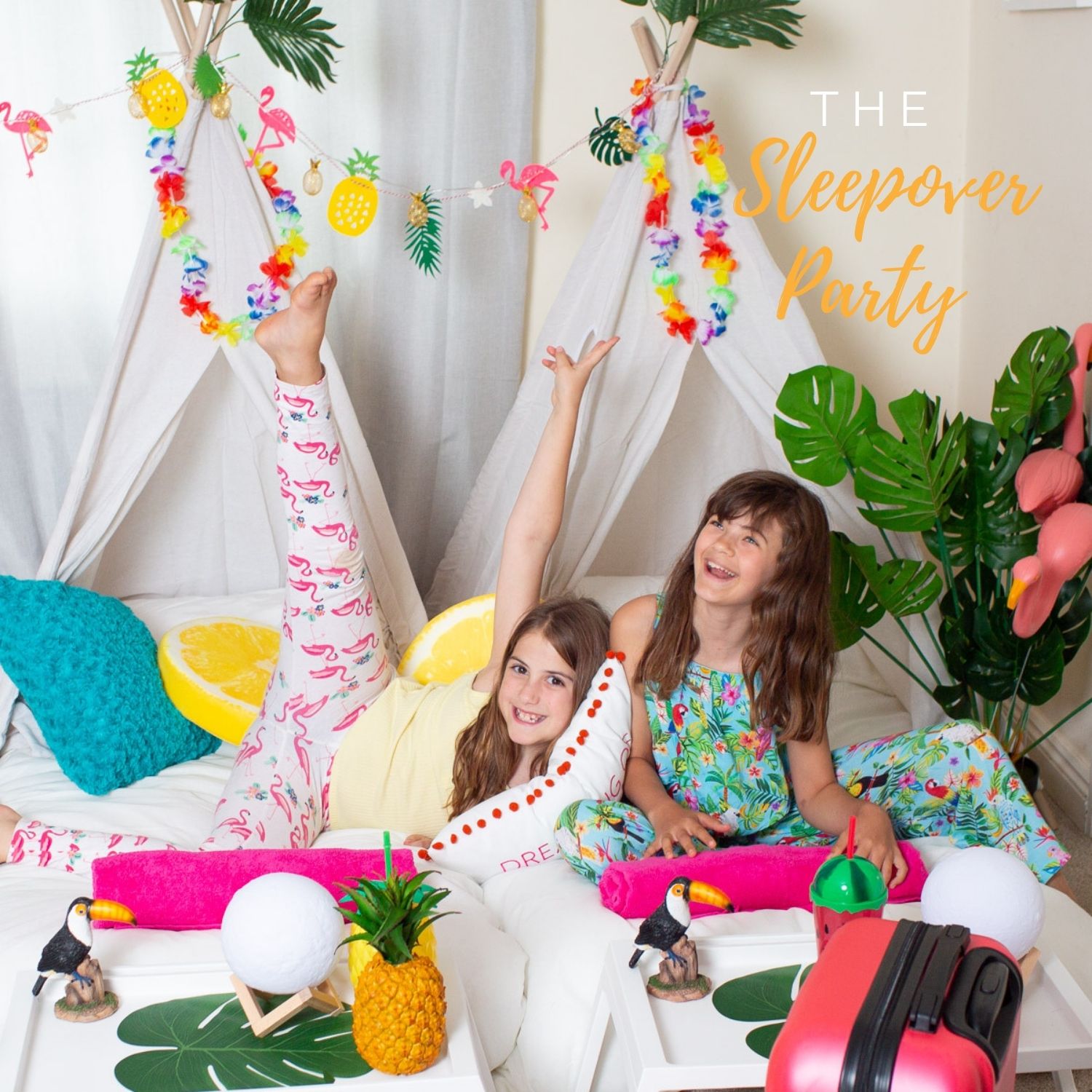 The sleepover party Logo and branding kit